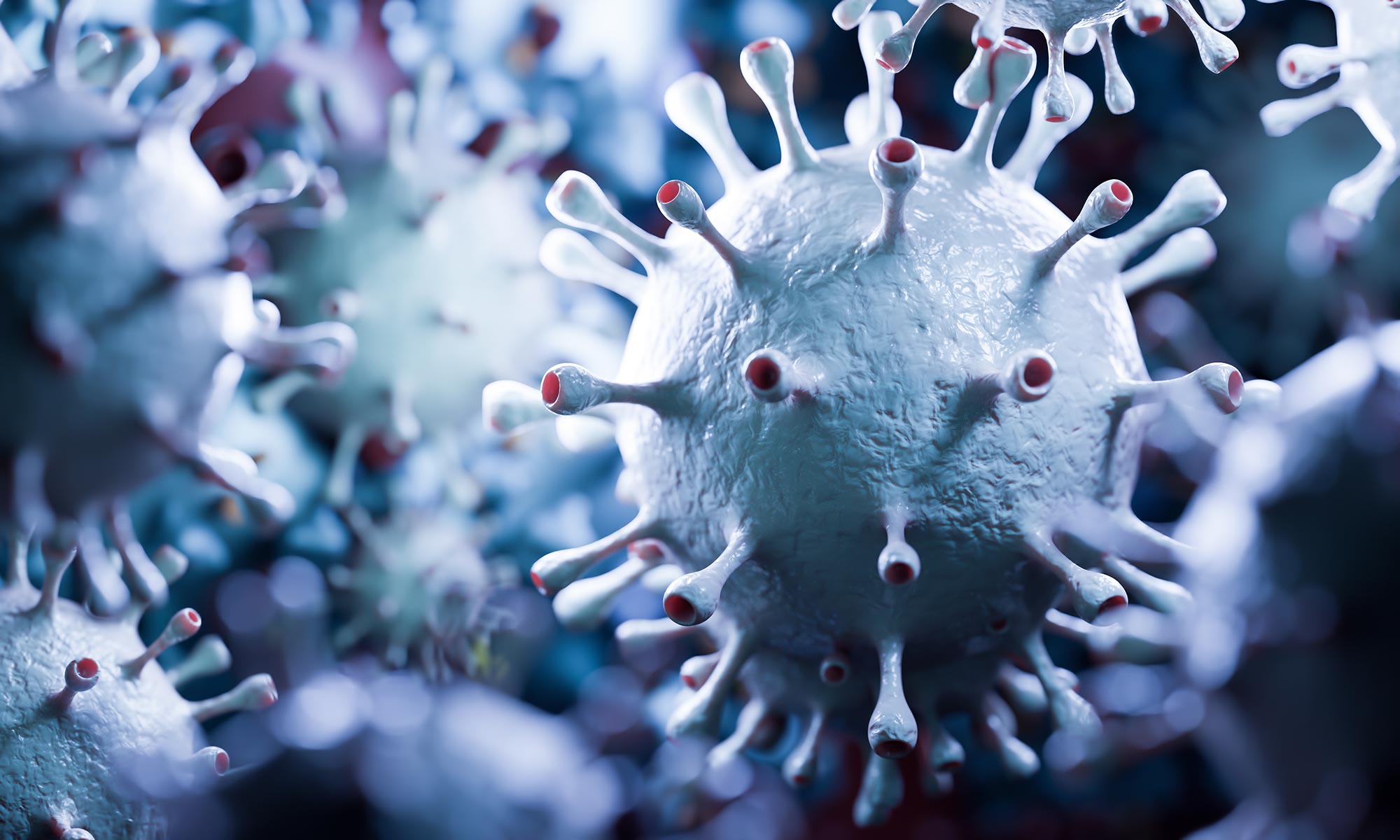 TESTY ImmunoCAP ECP - HVD LIFE SCIENCES